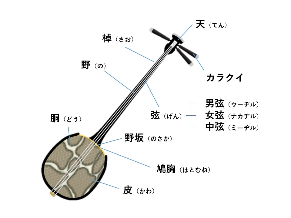 三線の基礎知識（初心者向け）｜絵美こさめ 唄三線・三味線教室